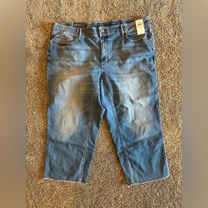 J. Jill Women's Blue Jean Shorts